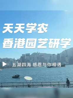 与香港园艺学会联合举办香港园艺研学，专业园境师带队讲解。