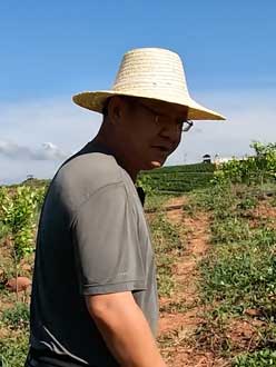 农业人叶涛，50多岁通讯人跨界搞农业，他要用1000万打造一个梦。